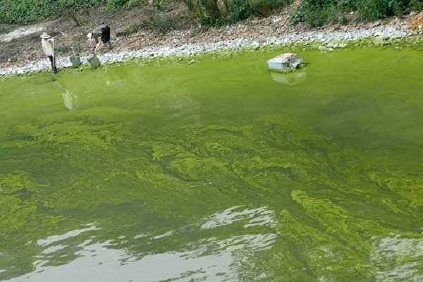 深圳水質(zhì)檢測公司 第三方