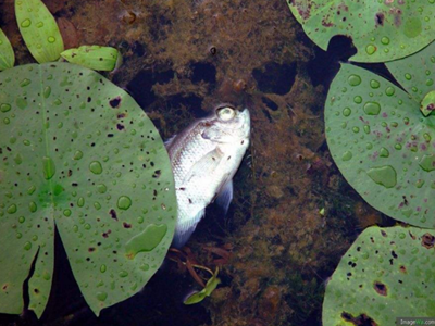 深圳水質檢測機構 深圳水質檢測機構