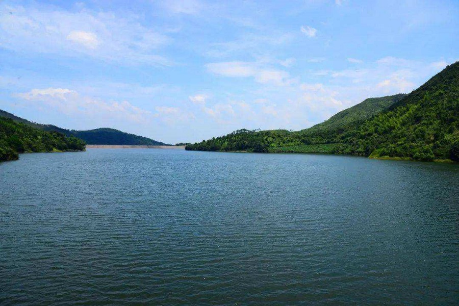 地表水檢測 地表水檢測